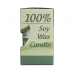 Spearmint Soy Candle 45g